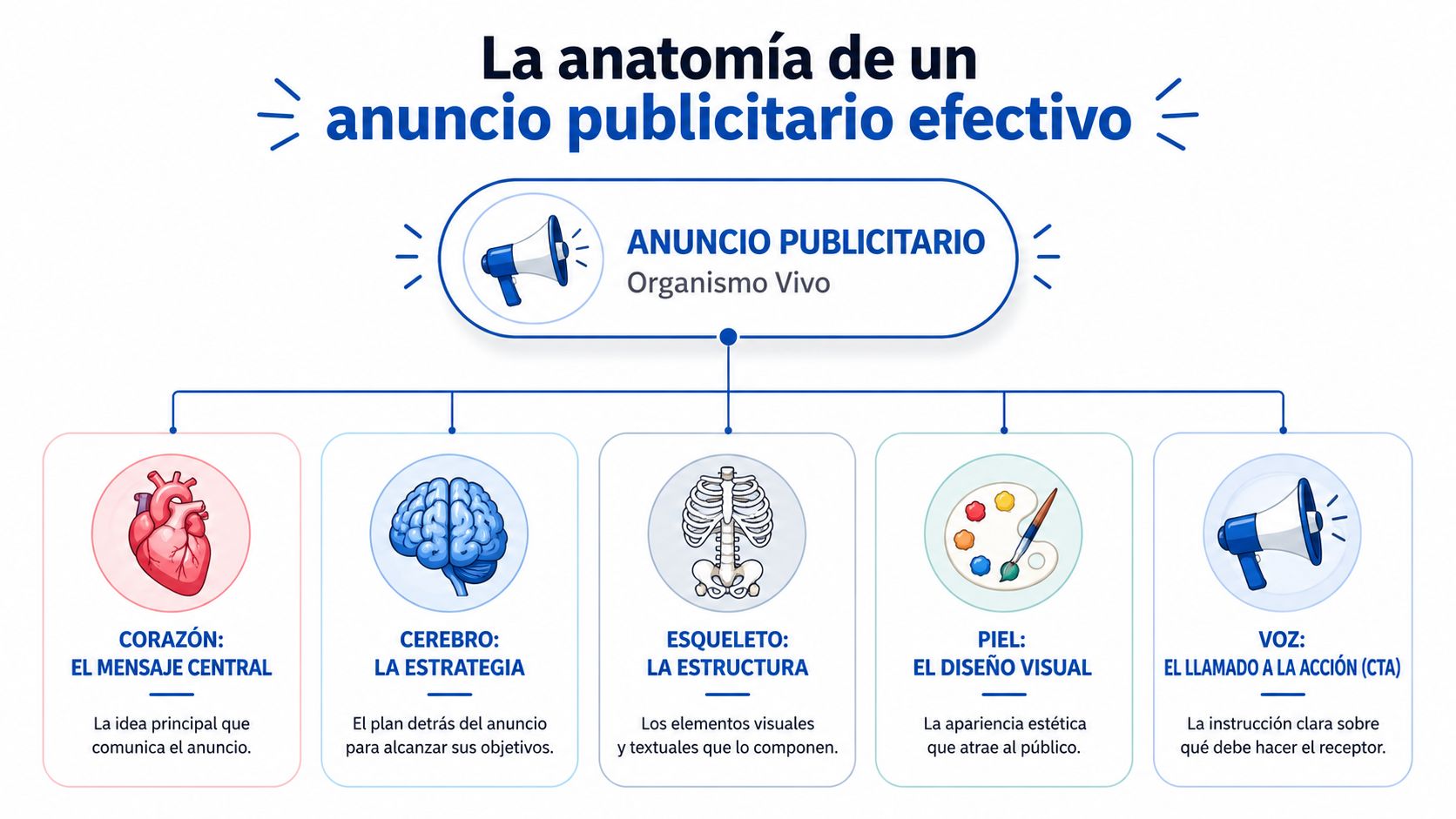 Infografía que muestra la anatomía de un anuncio publicitario efectivo comparando sus componentes con órganos humanos.